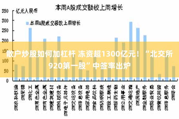 散户炒股如何加杠杆 冻资超1300亿元！“北交所920第一股”中签率出炉