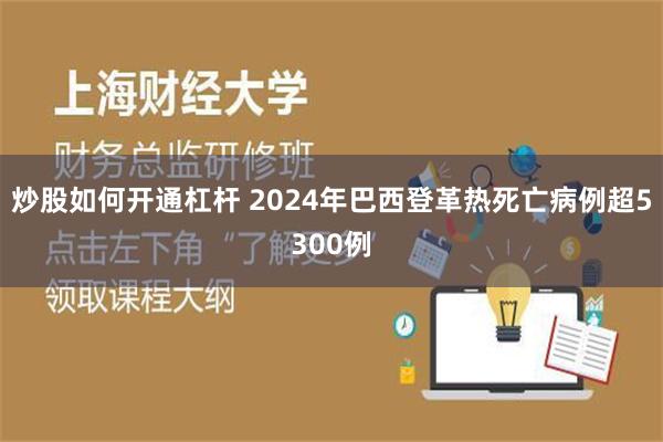 炒股如何开通杠杆 2024年巴西登革热死亡病例超5300例