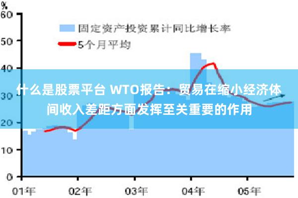 什么是股票平台 WTO报告：贸易在缩小经济体间收入差距方面发挥至关重要的作用