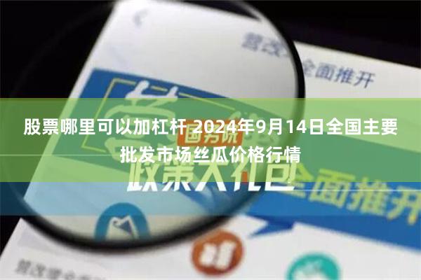 股票哪里可以加杠杆 2024年9月14日全国主要批发市场丝瓜价格行情