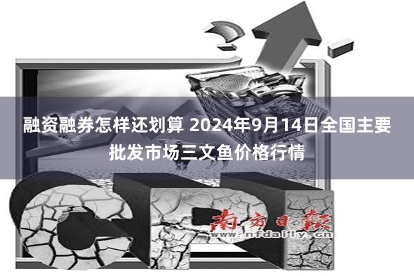 融资融券怎样还划算 2024年9月14日全国主要批发市场三文鱼价格行情