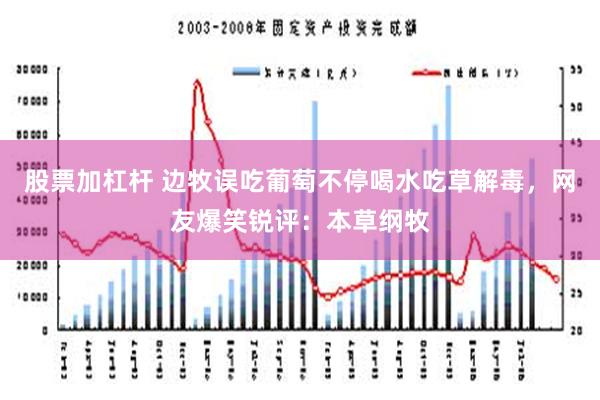 股票加杠杆 边牧误吃葡萄不停喝水吃草解毒，网友爆笑锐评：本草纲牧