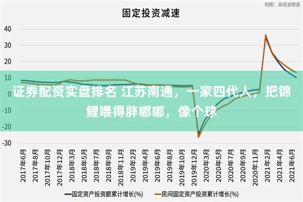 证券配资实盘排名 江苏南通，一家四代人，把锦鲤喂得胖嘟嘟，像个球