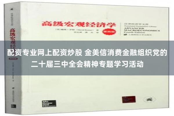 配资专业网上配资炒股 金美信消费金融组织党的二十届三中全会精神专题学习活动