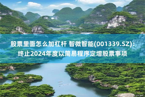 股票里面怎么加杠杆 智微智能(001339.SZ)：终止2024年度以简易程序定增股票事项