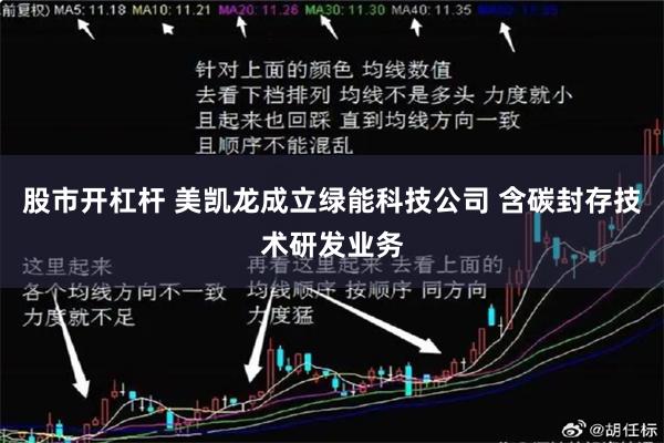 股市开杠杆 美凯龙成立绿能科技公司 含碳封存技术研发业务