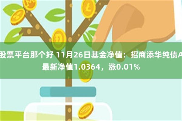 股票平台那个好 11月26日基金净值：招商添华纯债A最新净值1.0364，涨0.01%