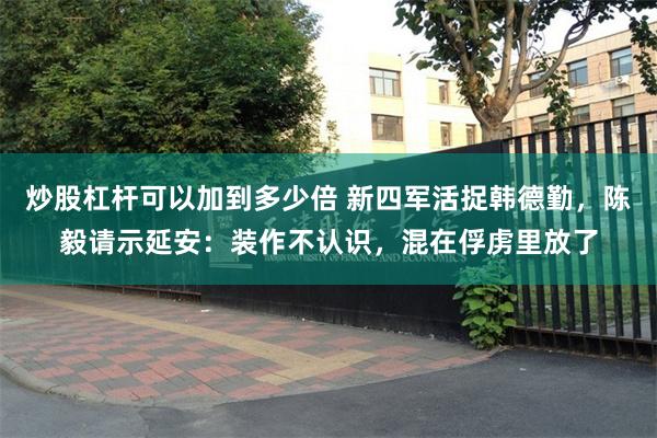 炒股杠杆可以加到多少倍 新四军活捉韩德勤，陈毅请示延安：装作不认识，混在俘虏里放了