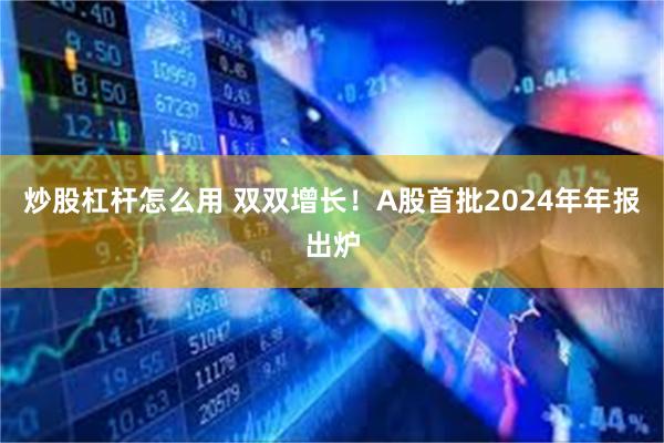 炒股杠杆怎么用 双双增长！A股首批2024年年报出炉