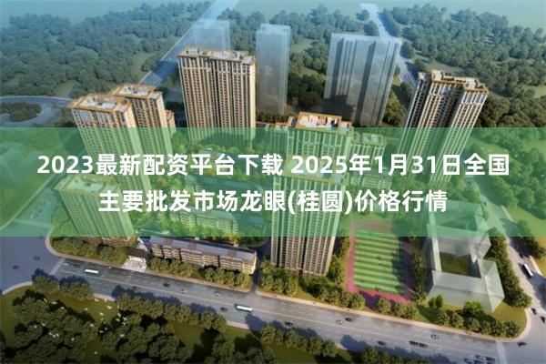 2023最新配资平台下载 2025年1月31日全国主要批发市场龙眼(桂圆)价格行情