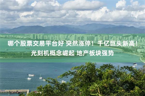 哪个股票交易平台好 突然涨停！千亿巨头新高！光刻机概念崛起 地产板块强势